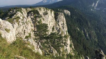 Ćurevac vidikovac na kanjonu Tare